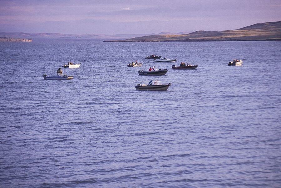 Fishing boats on Lake Oahe